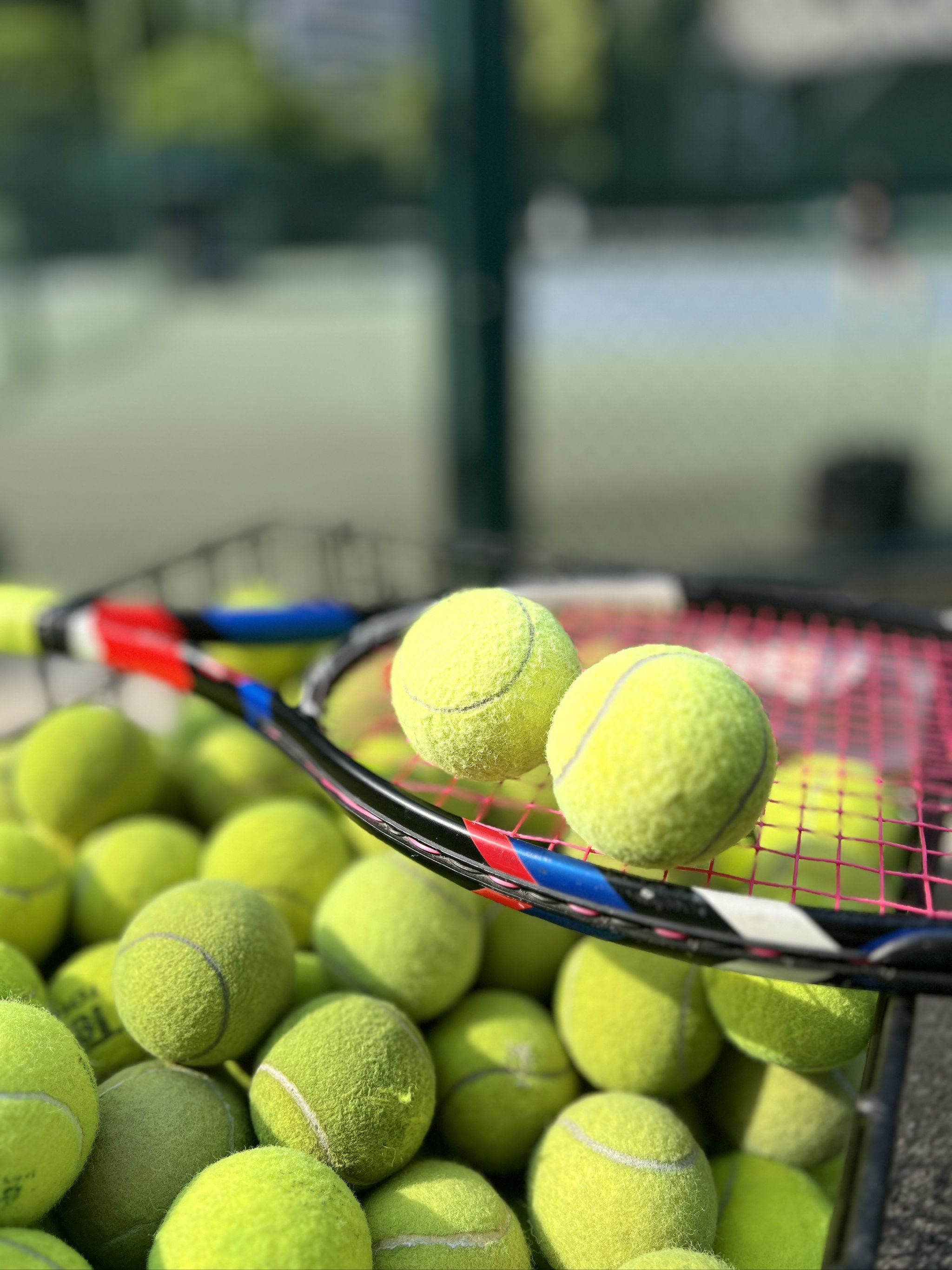 这无疑证明 这无疑证明