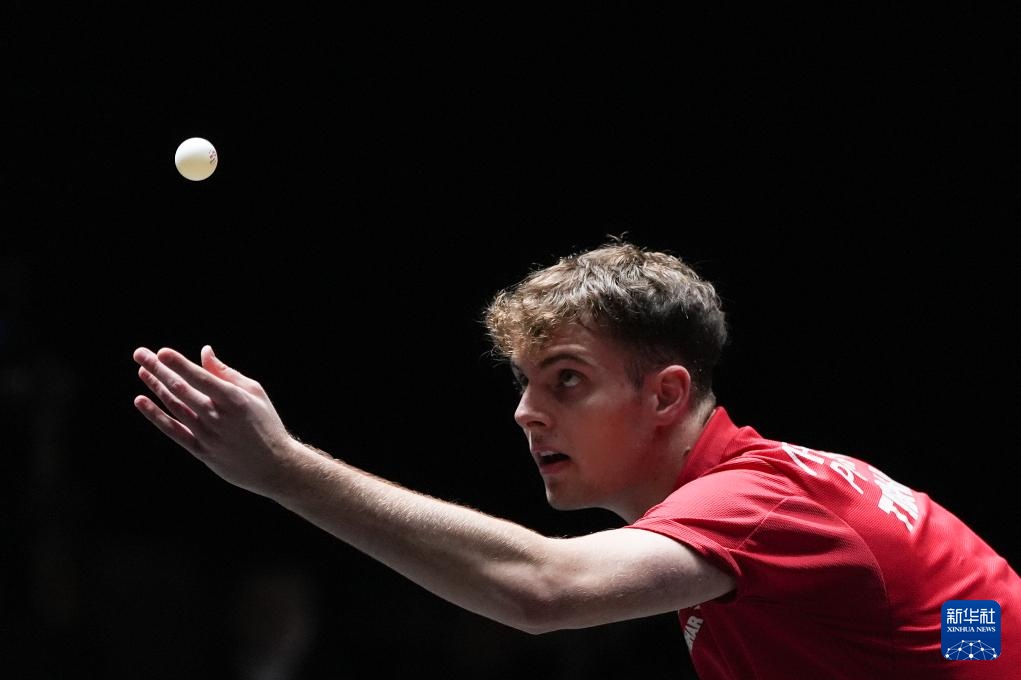 郑钦文的比 郑钦文的比